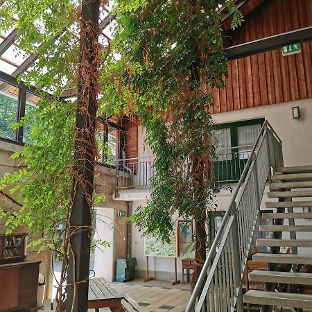 Langenstein Landhotel Schaferhof المظهر الخارجي الصورة
